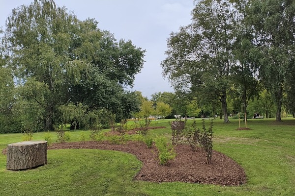 RĪGAS MEŽI Uzvaras parkā atklās bioloģiskās daudzveidības izziņas vietu